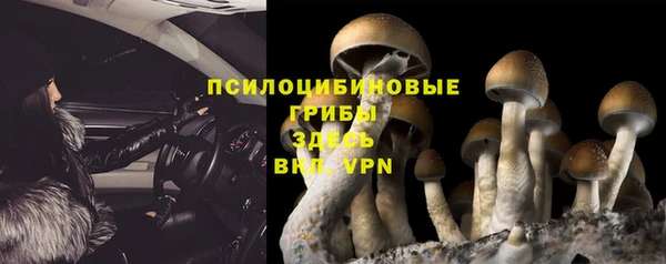 mix Коряжма