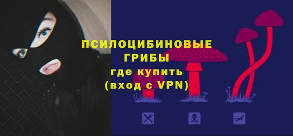 2c-b Козловка